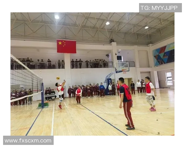 深圳排球队实力飙升再创佳绩引领排球新风潮